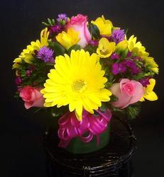 Designer's Choice Spring Cube Bouquet from Gilmore's Flower Shop in East Providence, RI